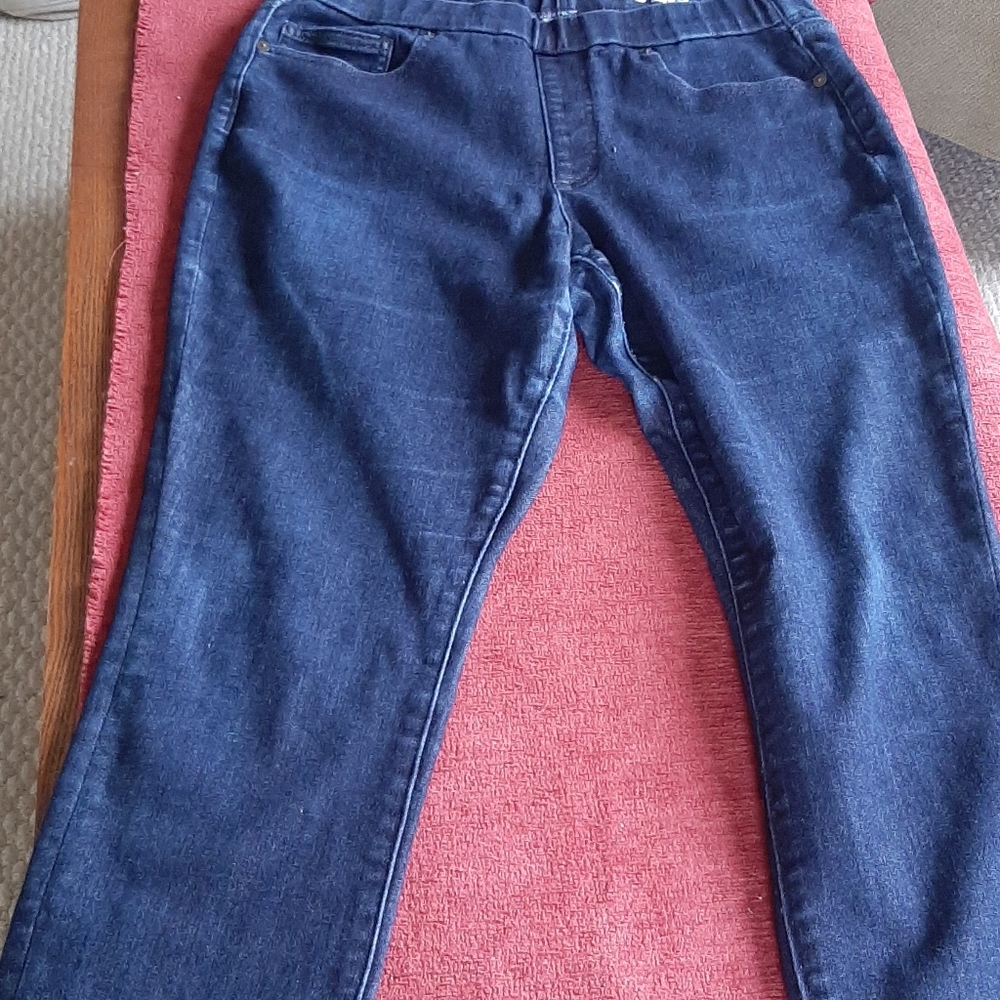 Lands End elastic waist jeans